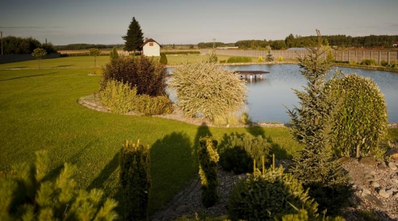 Unsere Pflanzenbaumschule